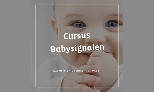 Cursus babysignalen 31 mei en 21 juni